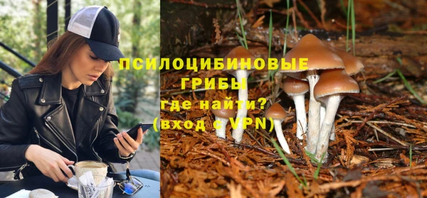 MESCALINE Лабытнанги