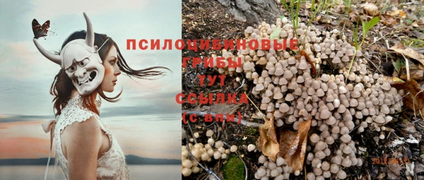MESCALINE Лабытнанги