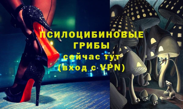 амф Артём