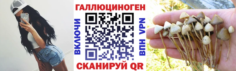 Галлюциногенные грибы мицелий  Николаевск-на-Амуре 